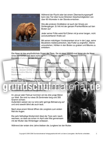 Grizzly-Steckbrief-Seite-2.pdf
